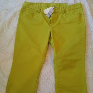 Ann Taylor Loft lime green modern crop pants